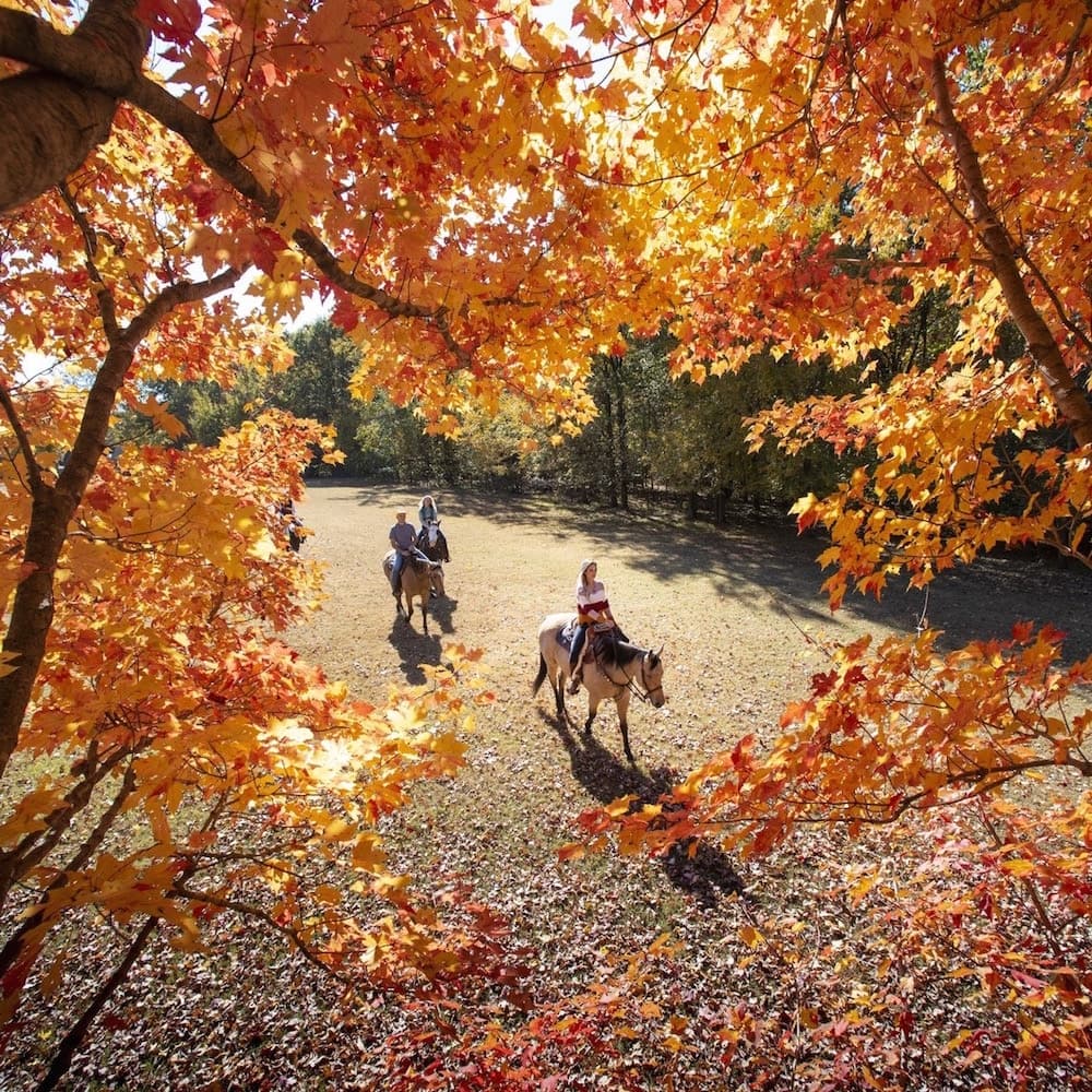Village Creek State Park — 