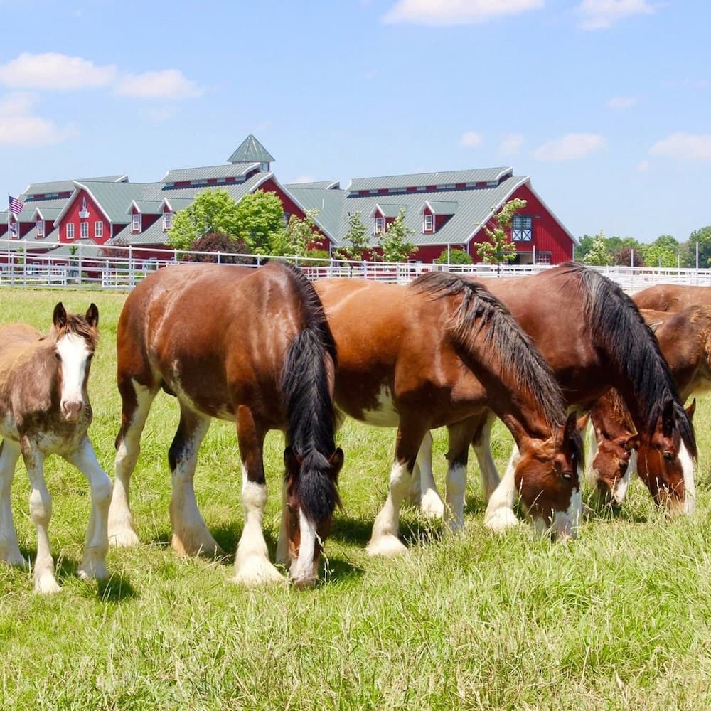 Warm Springs Ranch — 