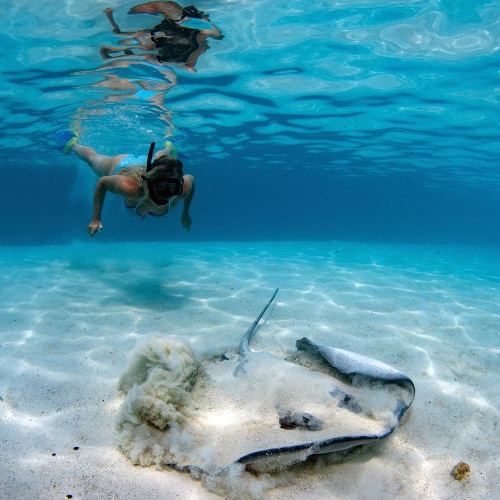 Mo'orea — 