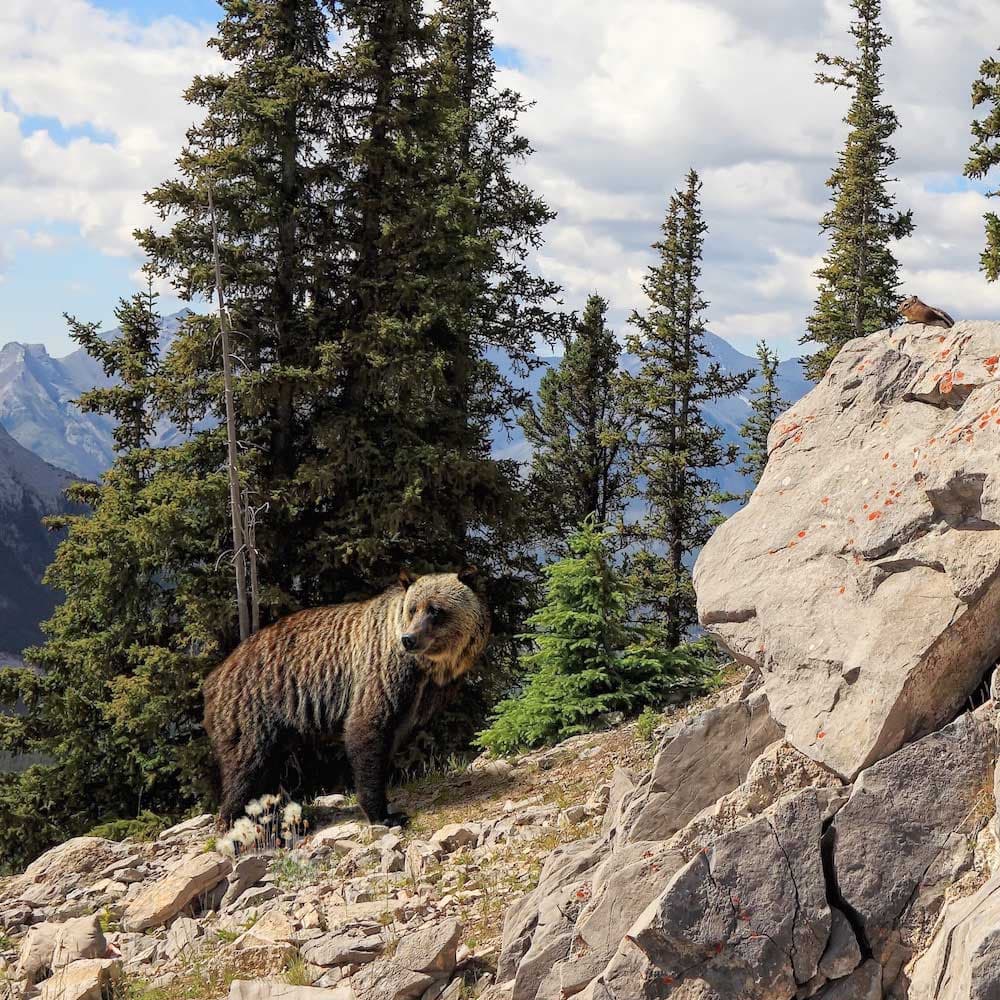 Banff National Park — 