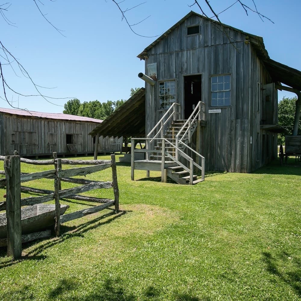 Frogmore Cotton Plantation & Gins — 