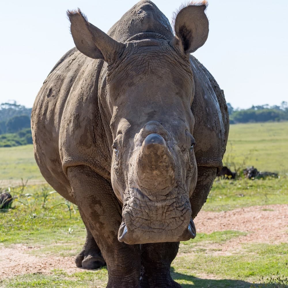Kragga Kamma Game Park — 