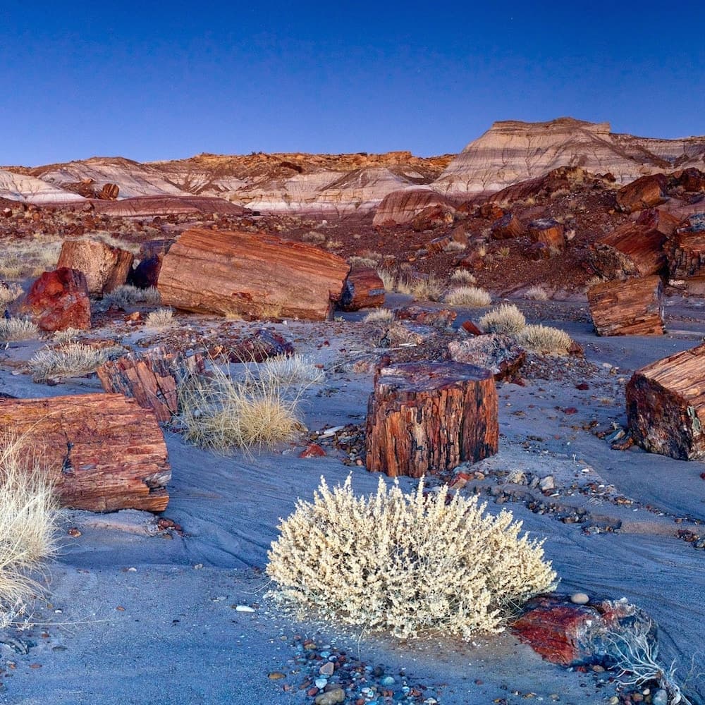 Petrified Forest National Park — Arizona, United States, North America