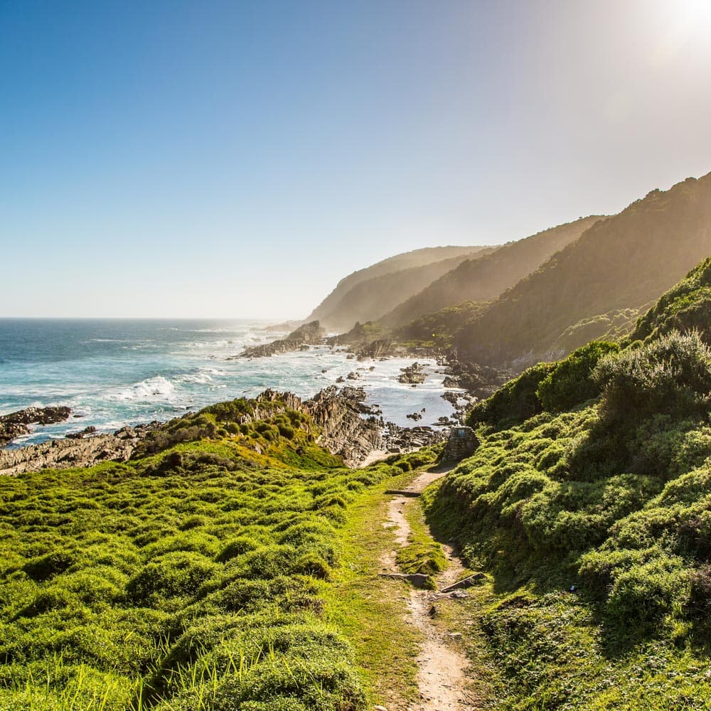 Otter Trail — 