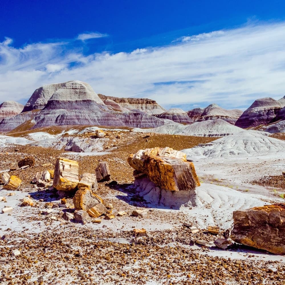 Petrified Forest National Park — 