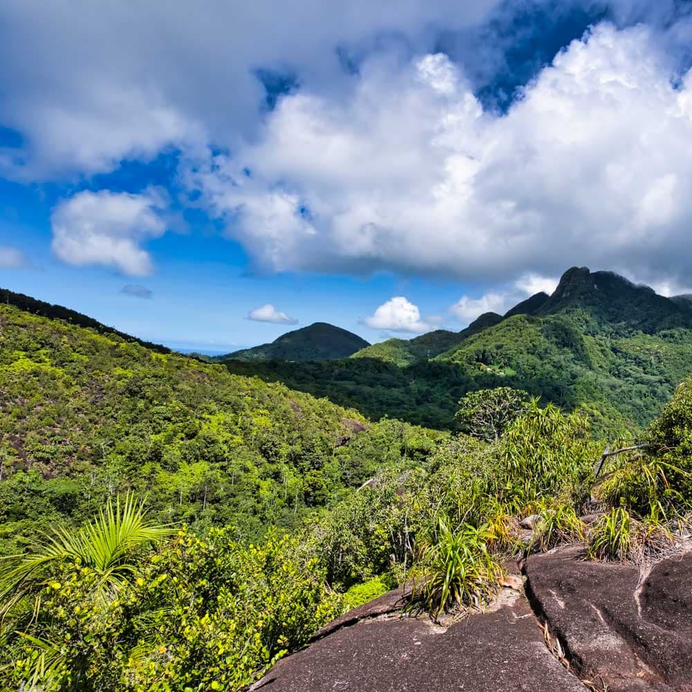 Copolia Trail — Mahé, Seychelles, Africa