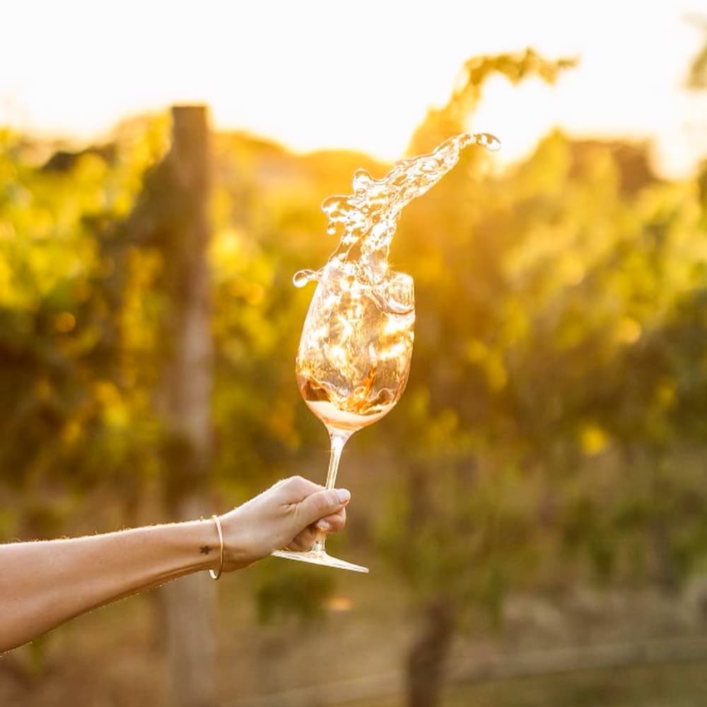 Croteaux Vineyards — 