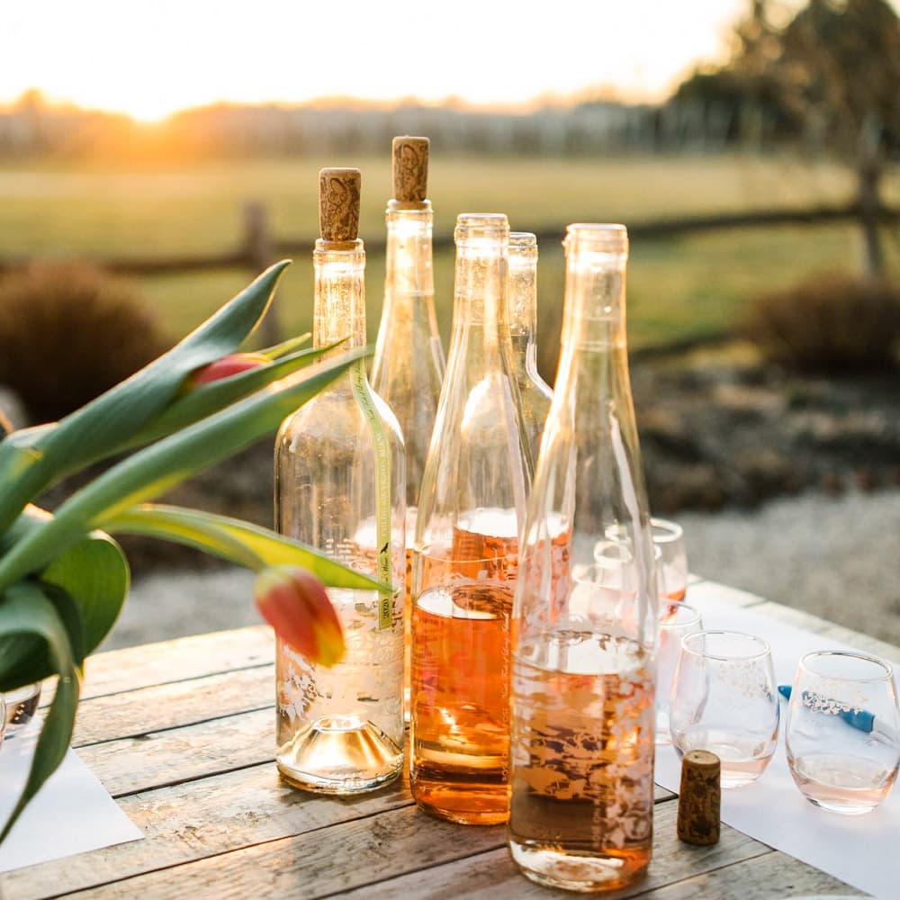 Croteaux Vineyards — 