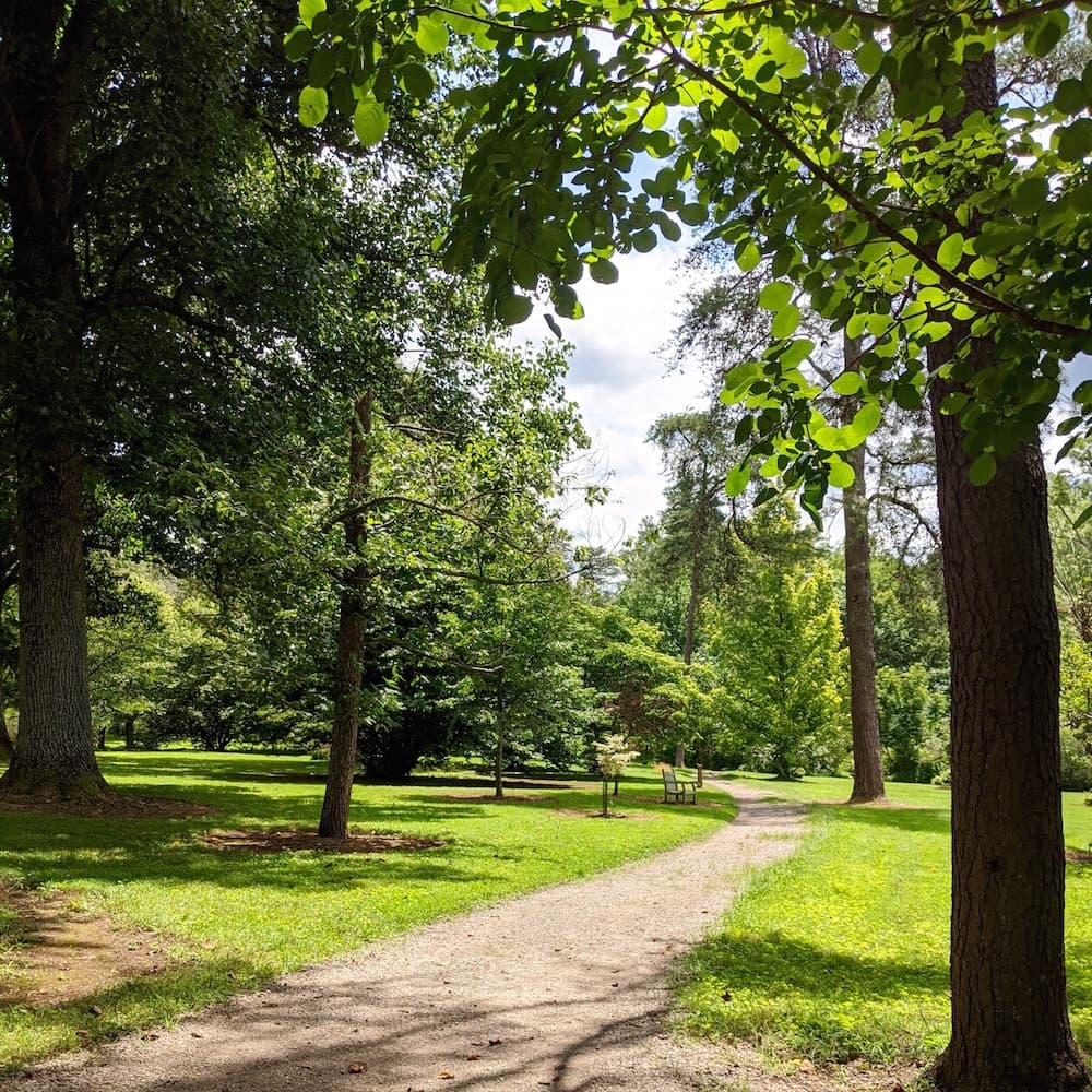 Bernheim Forest — 