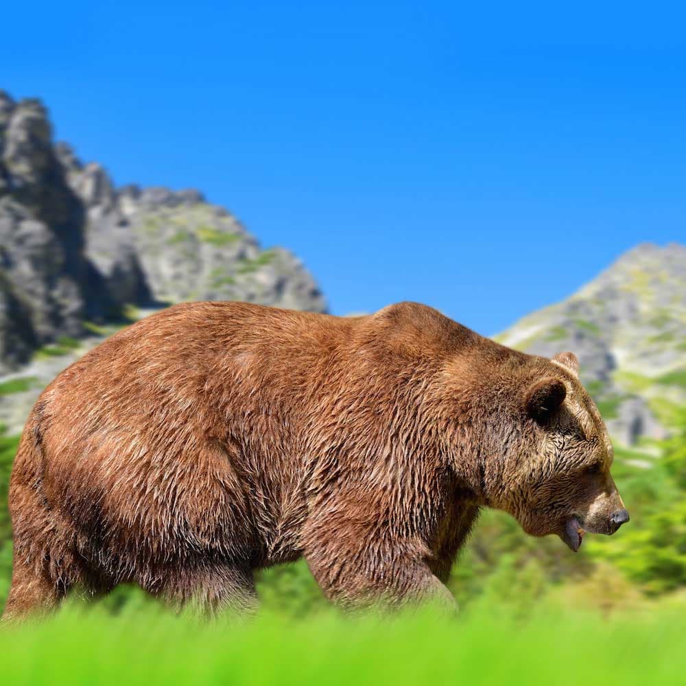 High Tatras — Slovakia, Eastern Europe