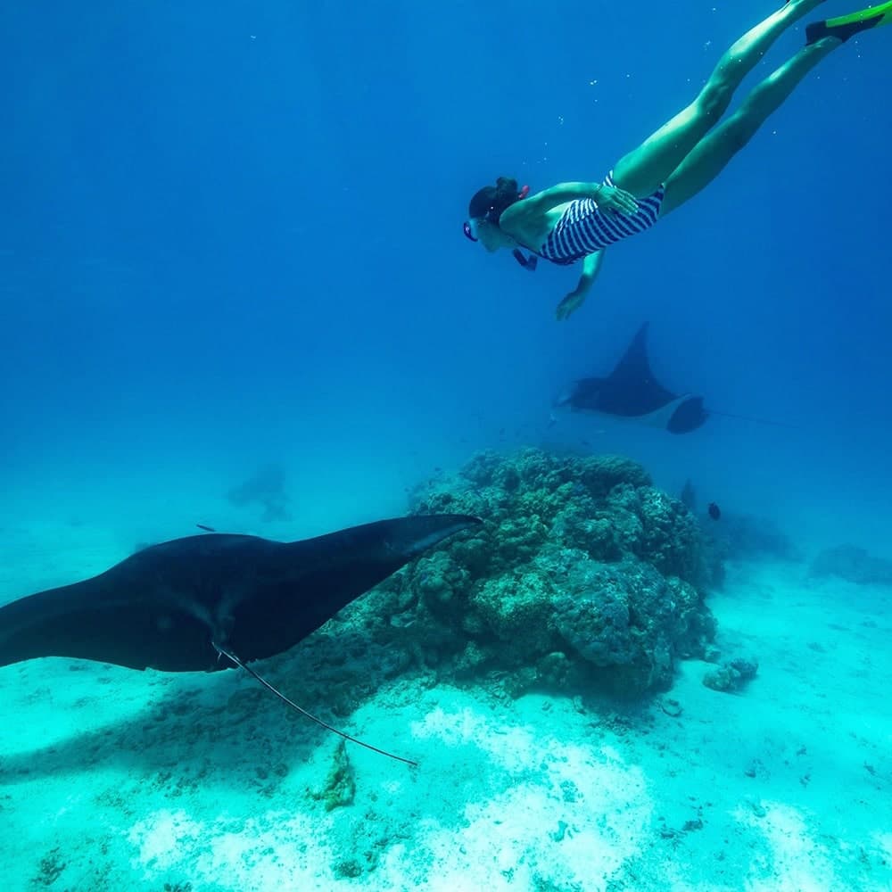 Tikehau Fafarua Lodge — 