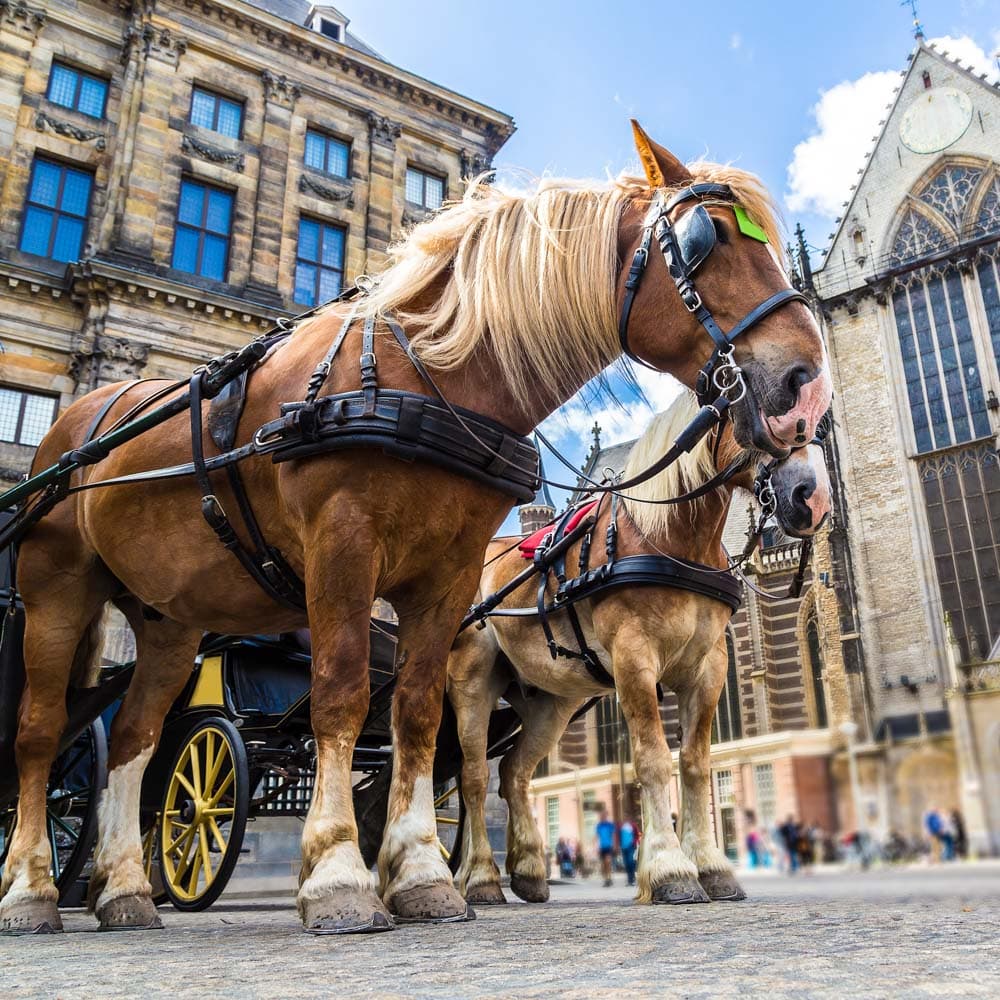 Dam Square — Amsterdam, Netherlands, Western Europe