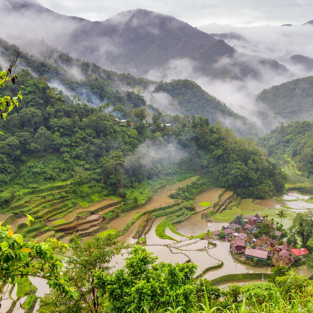 Banaue Rice Terraces — 