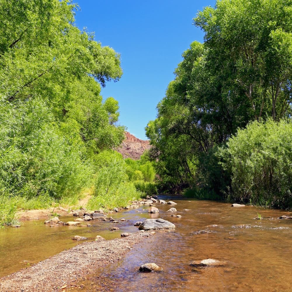 Aravaipa Canyon Wilderness — 