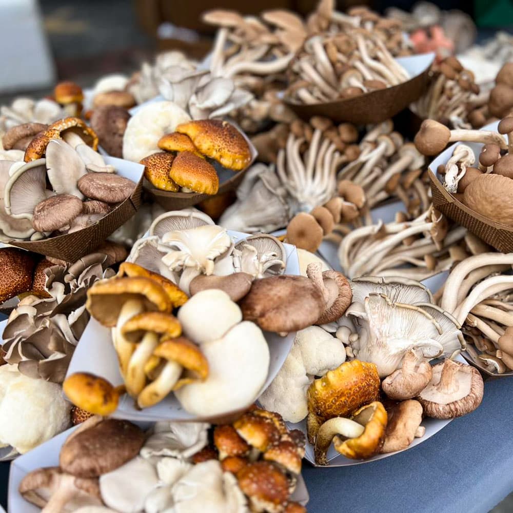 Farmers Market at Pepper Place — 