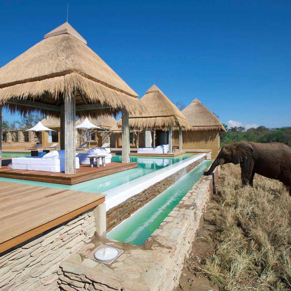 Kapama River Lodge — South Africa, Africa