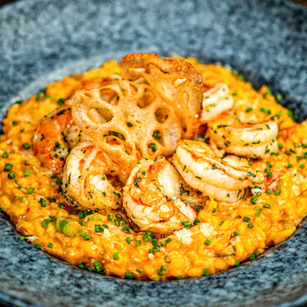 Feed Bistro — 