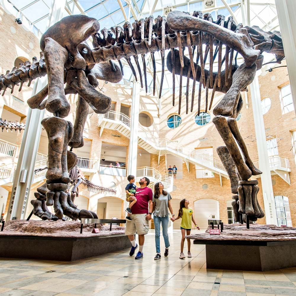 Fernbank Museum — 