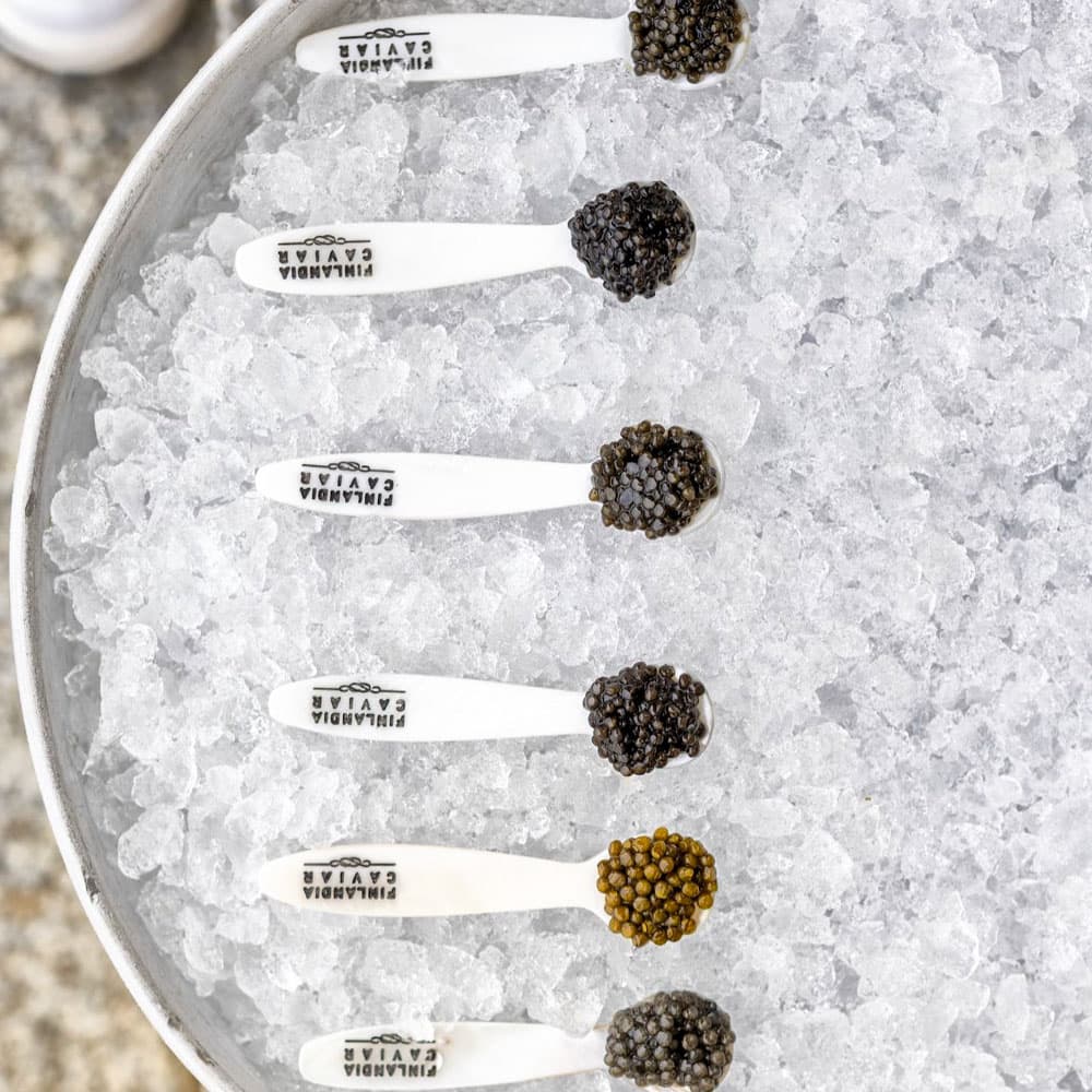 Finlandia Caviar — 