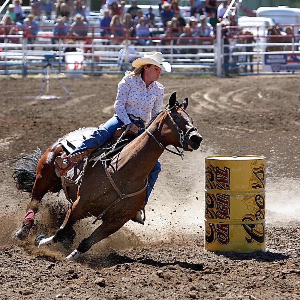 Prescott — Arizona, United States, North America