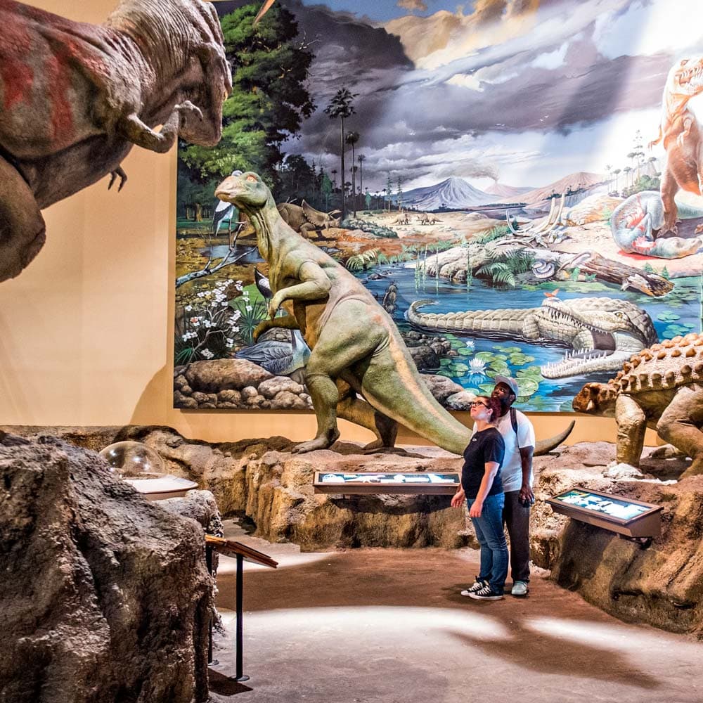 Fernbank Museum — 