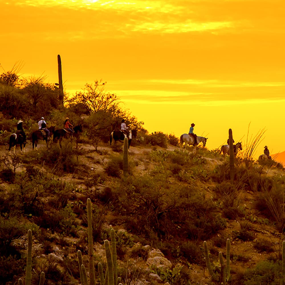 Tanque Verde Ranch — 