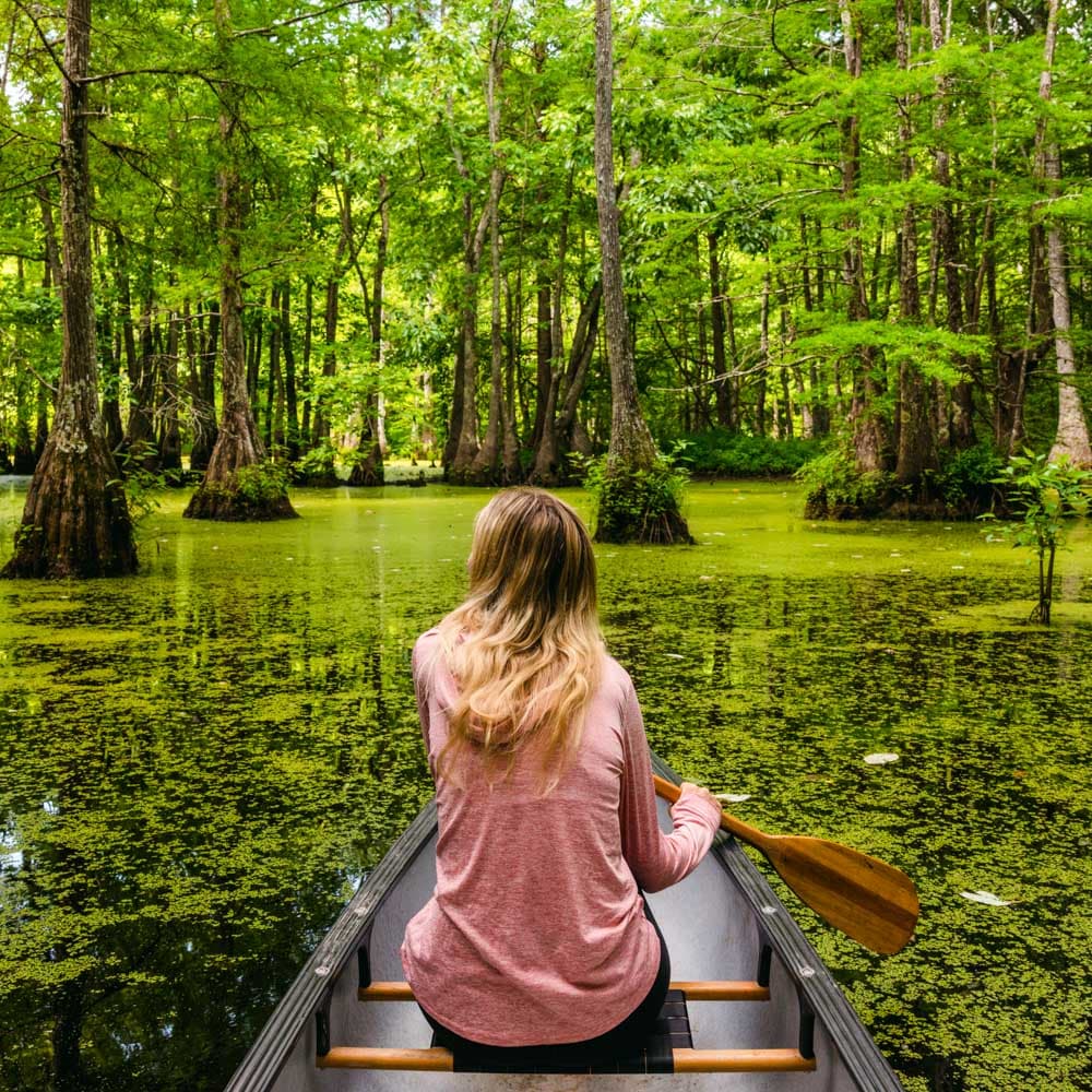Lee Tartt Nature Preserve — Mississippi, United States, North America