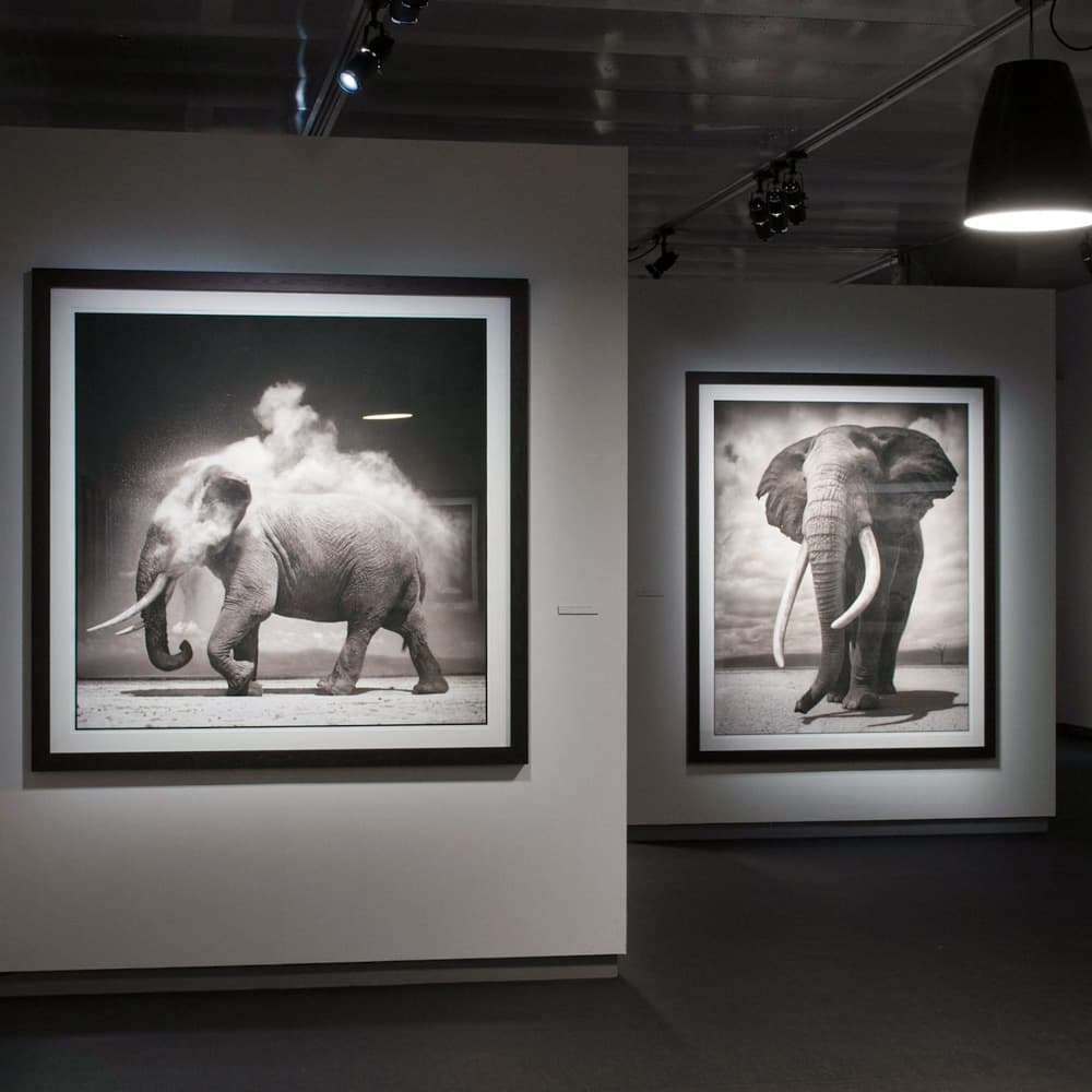 Fotografiska — 