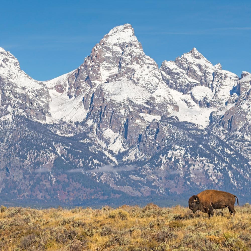 Grand Teton National Park, Wyoming — 