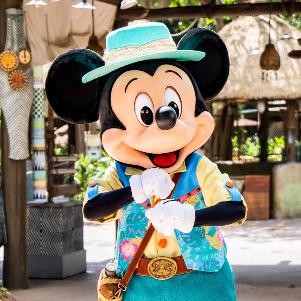 Hong Kong Disneyland — 