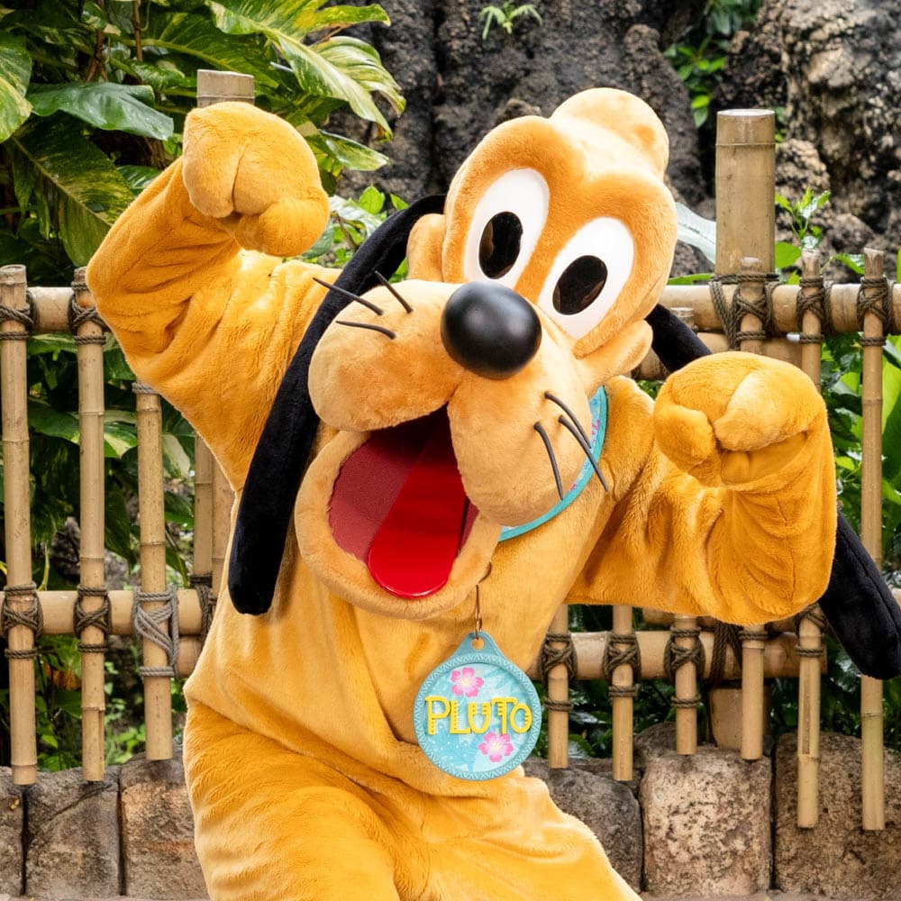 Hong Kong Disneyland — 