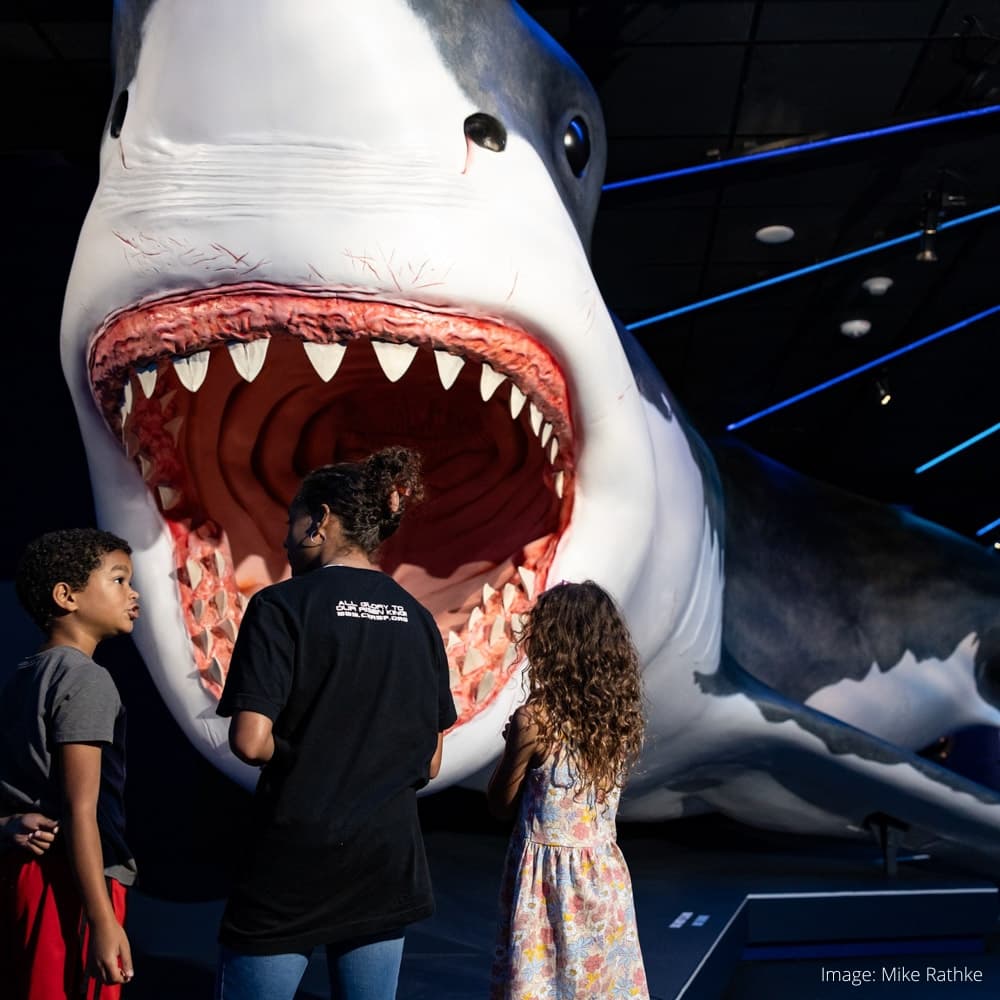 Houston Museum of Natural Science — 