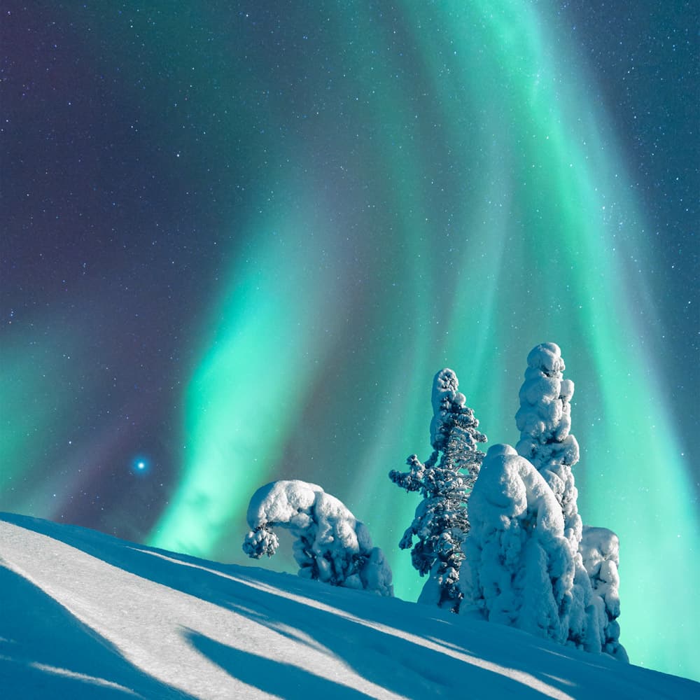 Koli National Park — 