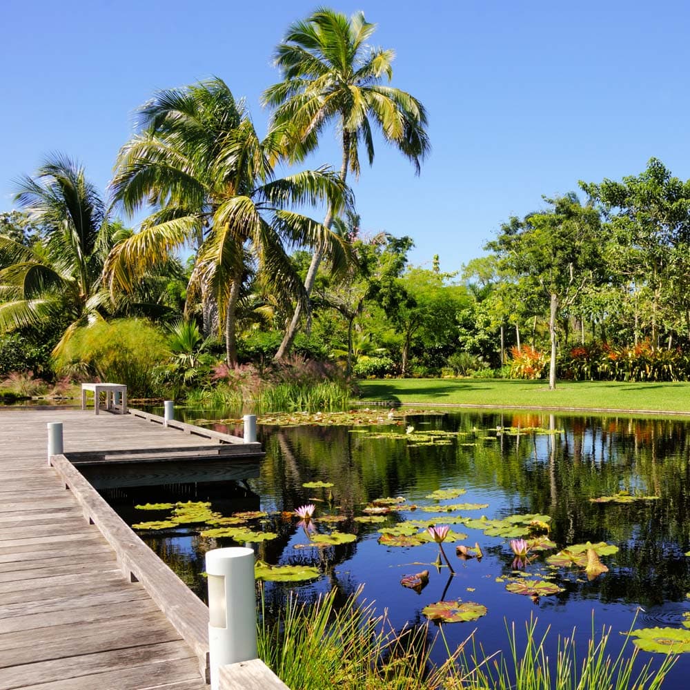 Naples Botanical Garden — Naples, Paradise Coast, Florida, United States, North America