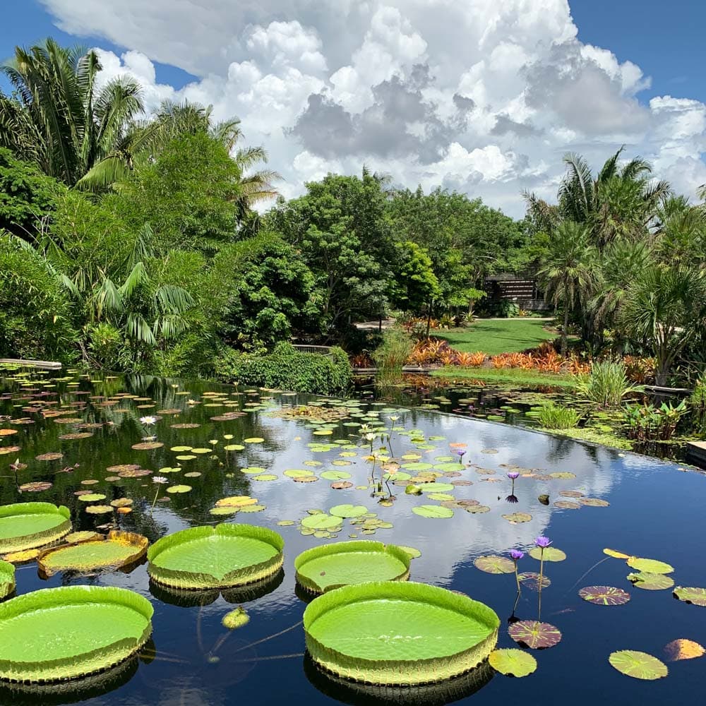 Naples Botanical Garden — 