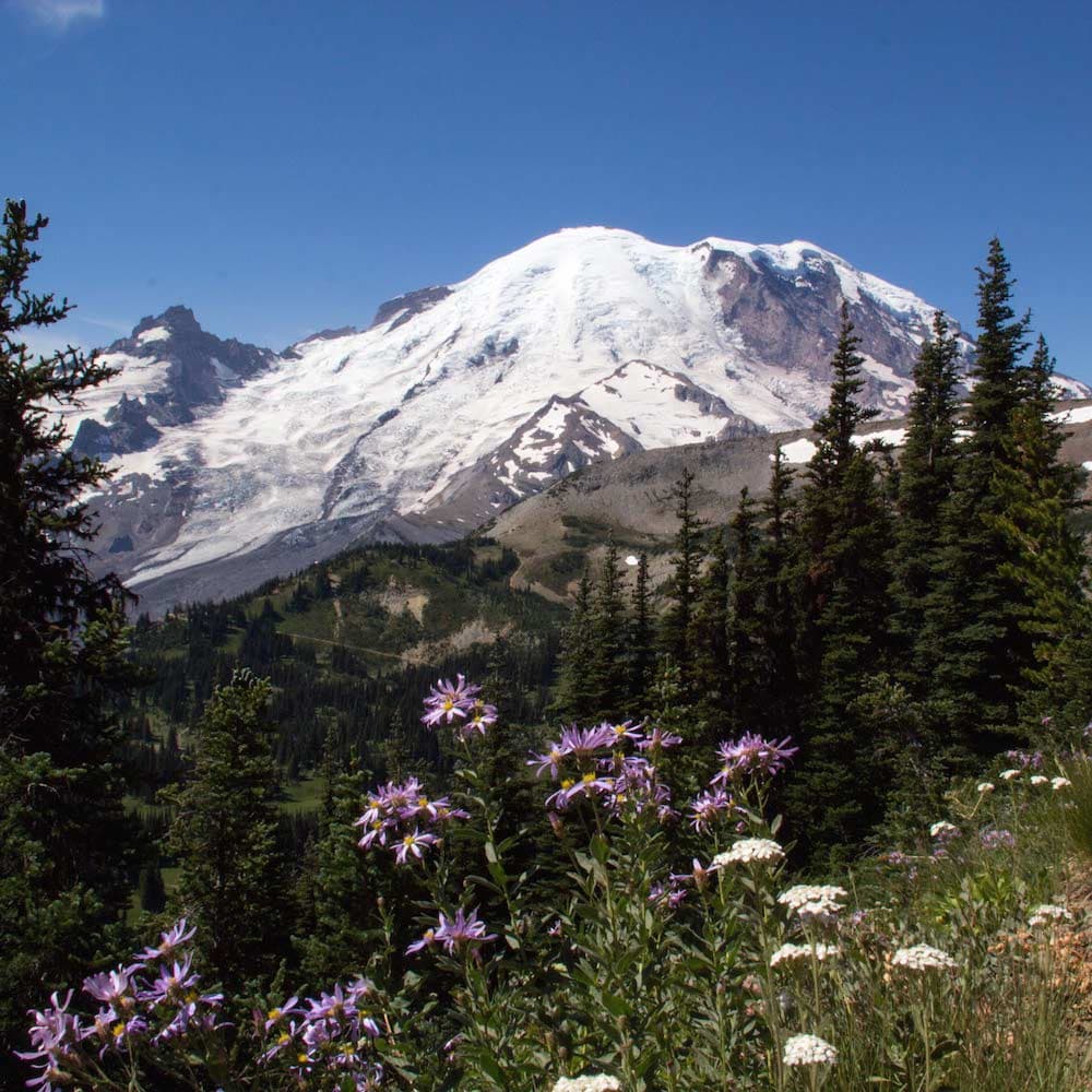 Mount Rainier — 
