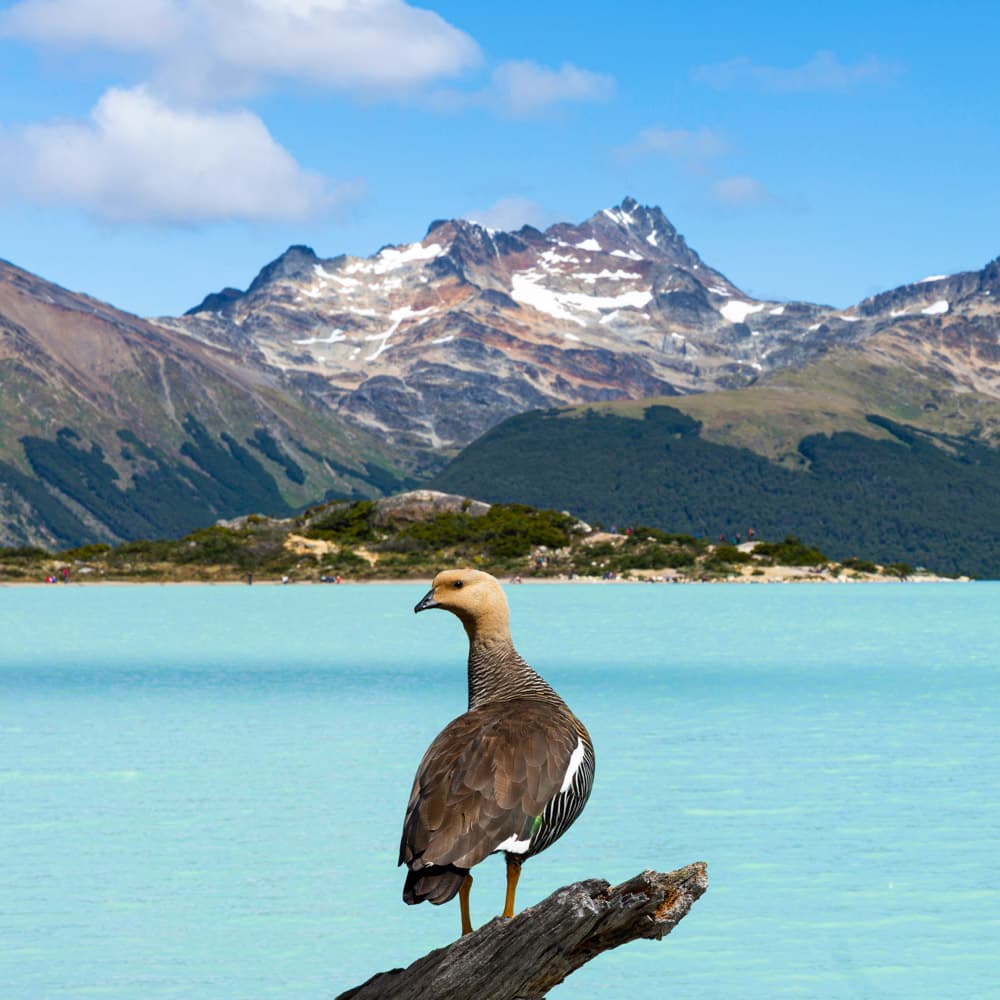 Laguna Esmeralda — Argentina, South America