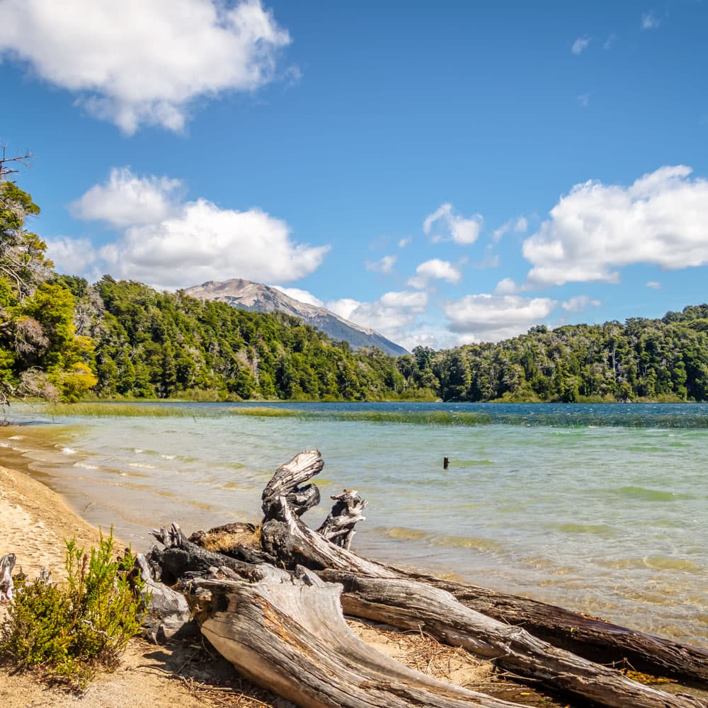 Laguna La Patagua — 