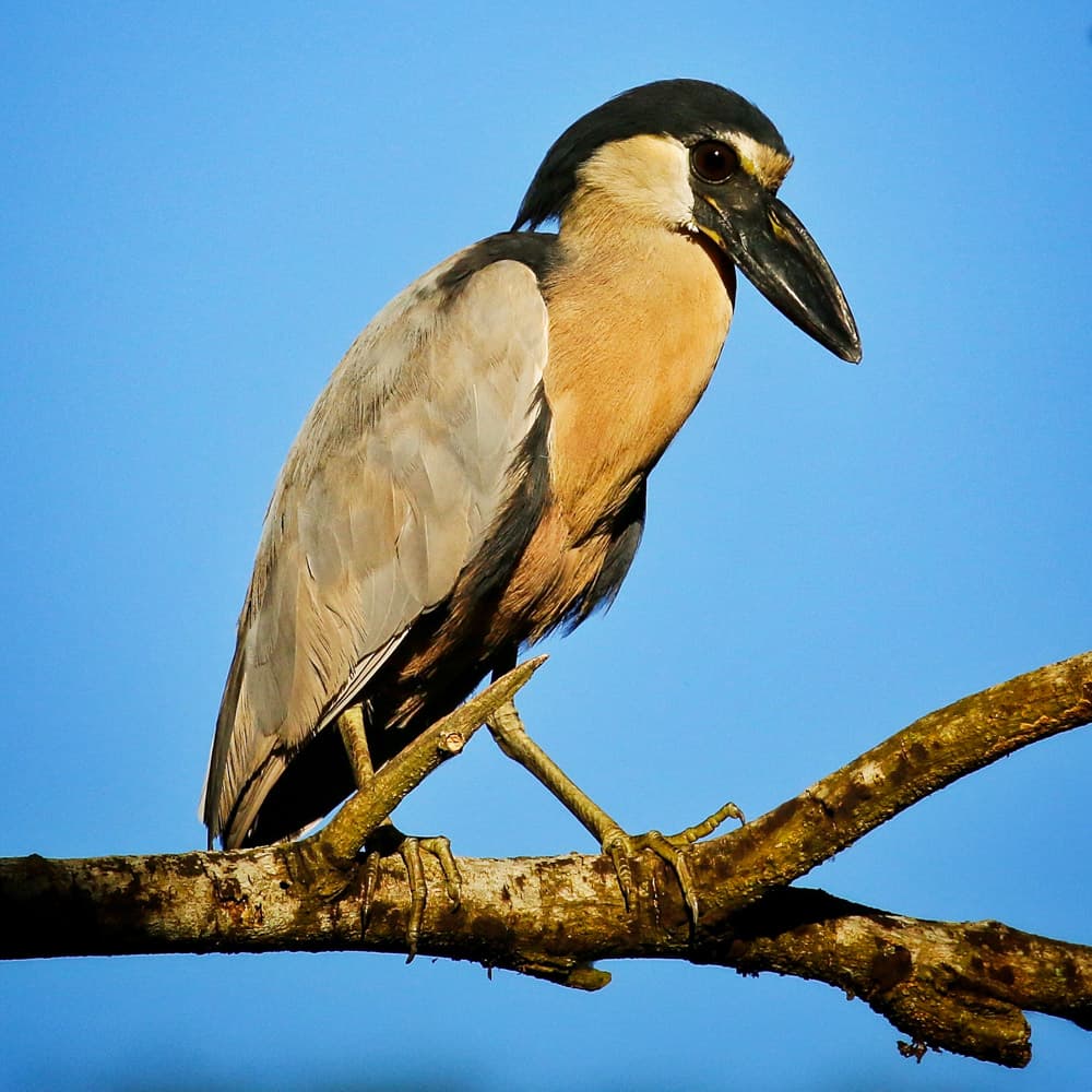 Laguna el Jocotal — El Salvador, Central America