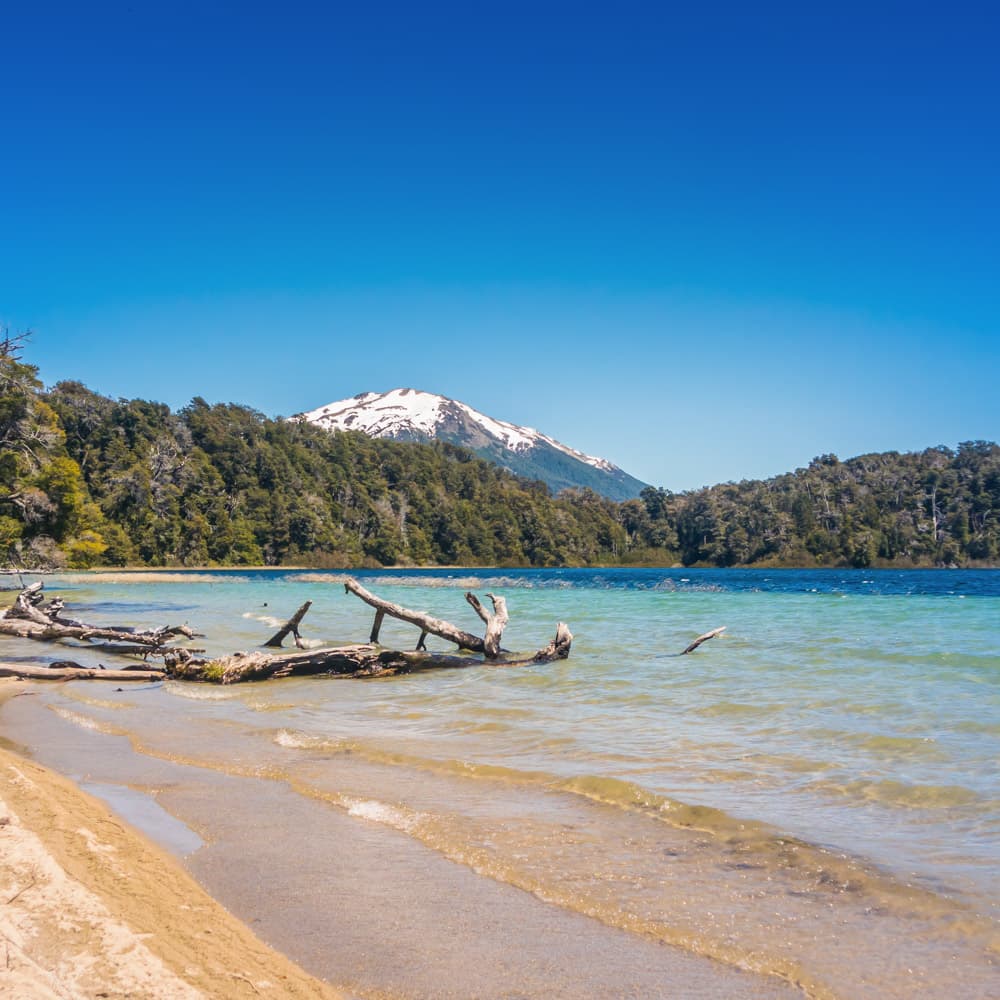 Laguna La Patagua — 