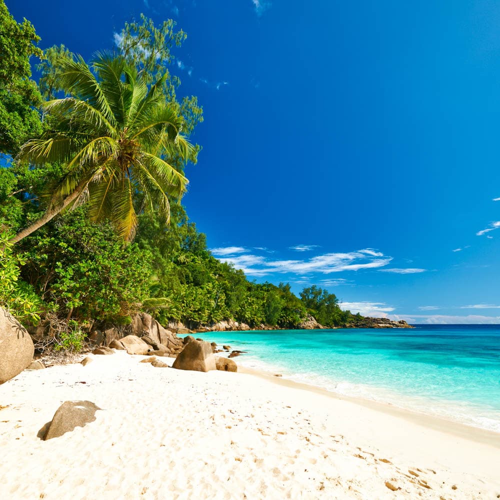 Anse Intendance — 