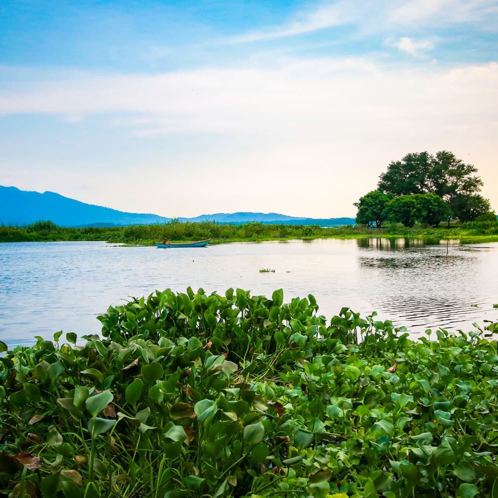Laguna el Jocotal — 