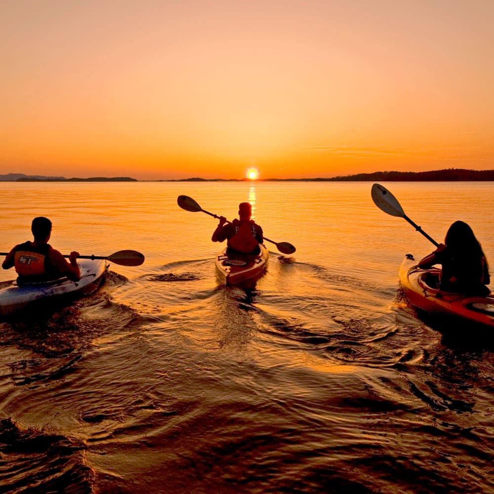 Lake Ouachita State Park — 