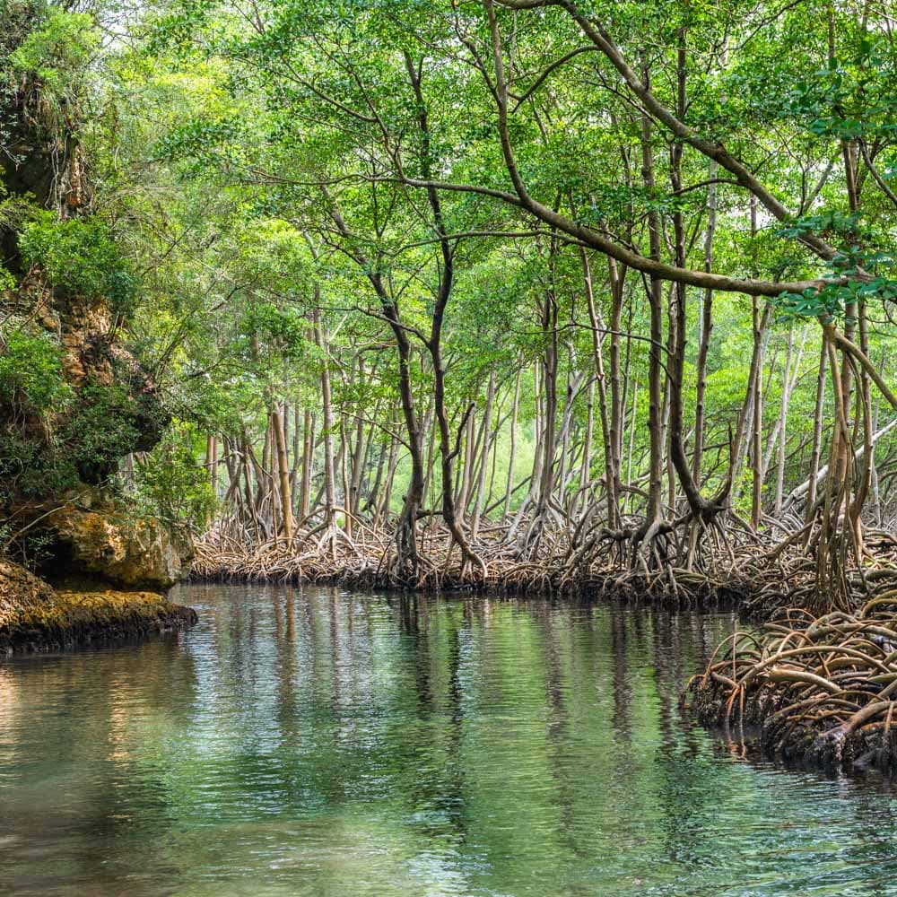 Los Haitises National Park — 