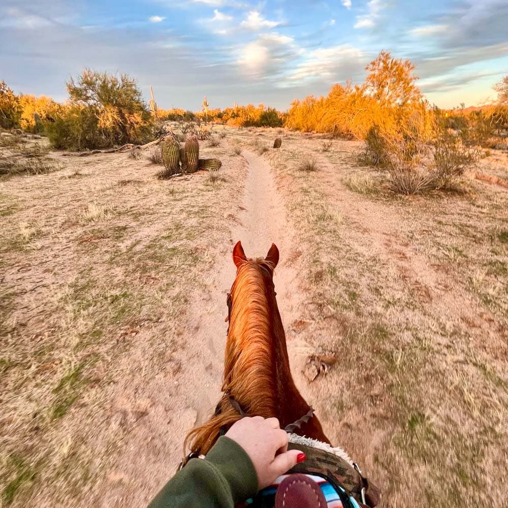 MacDonald’s Ranch — 