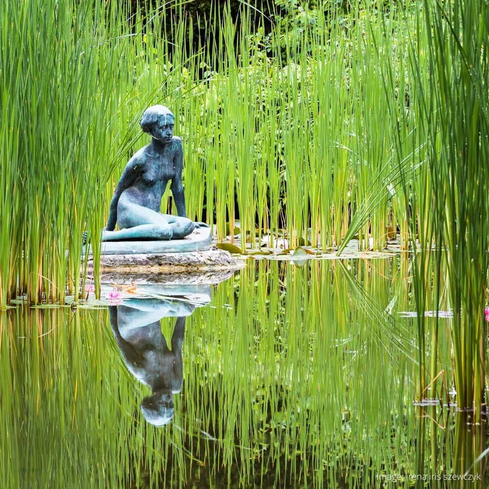 Margaret Island — 