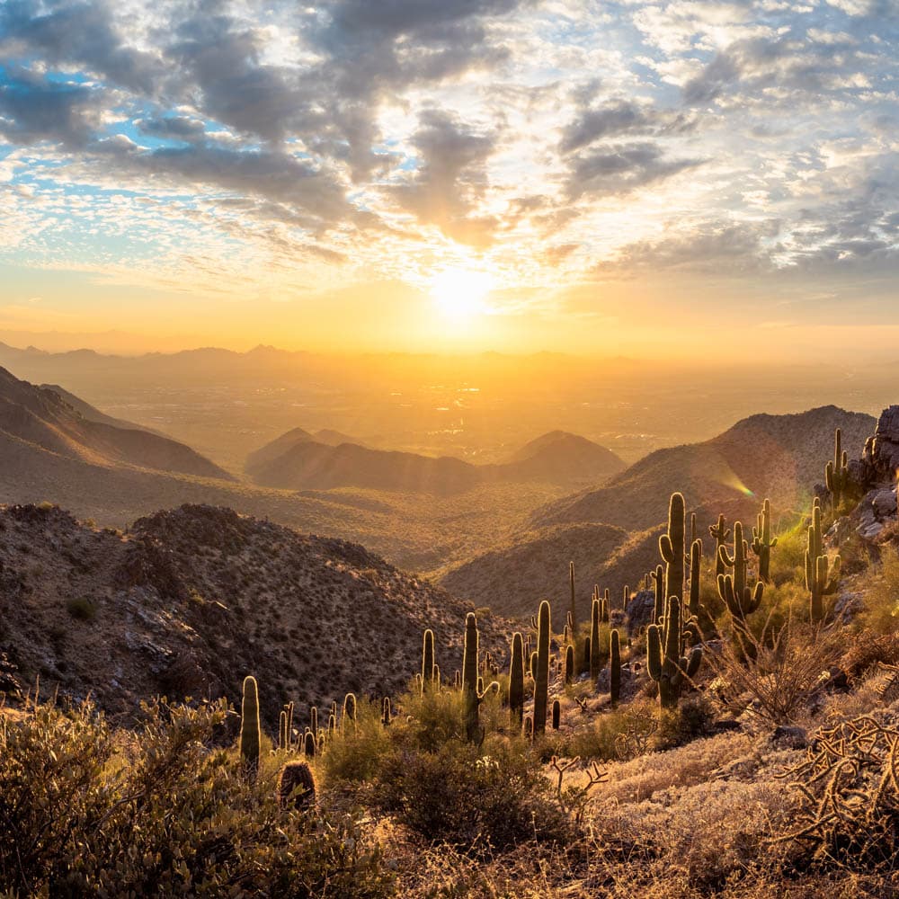 McDowell Sonoran Preserve — 