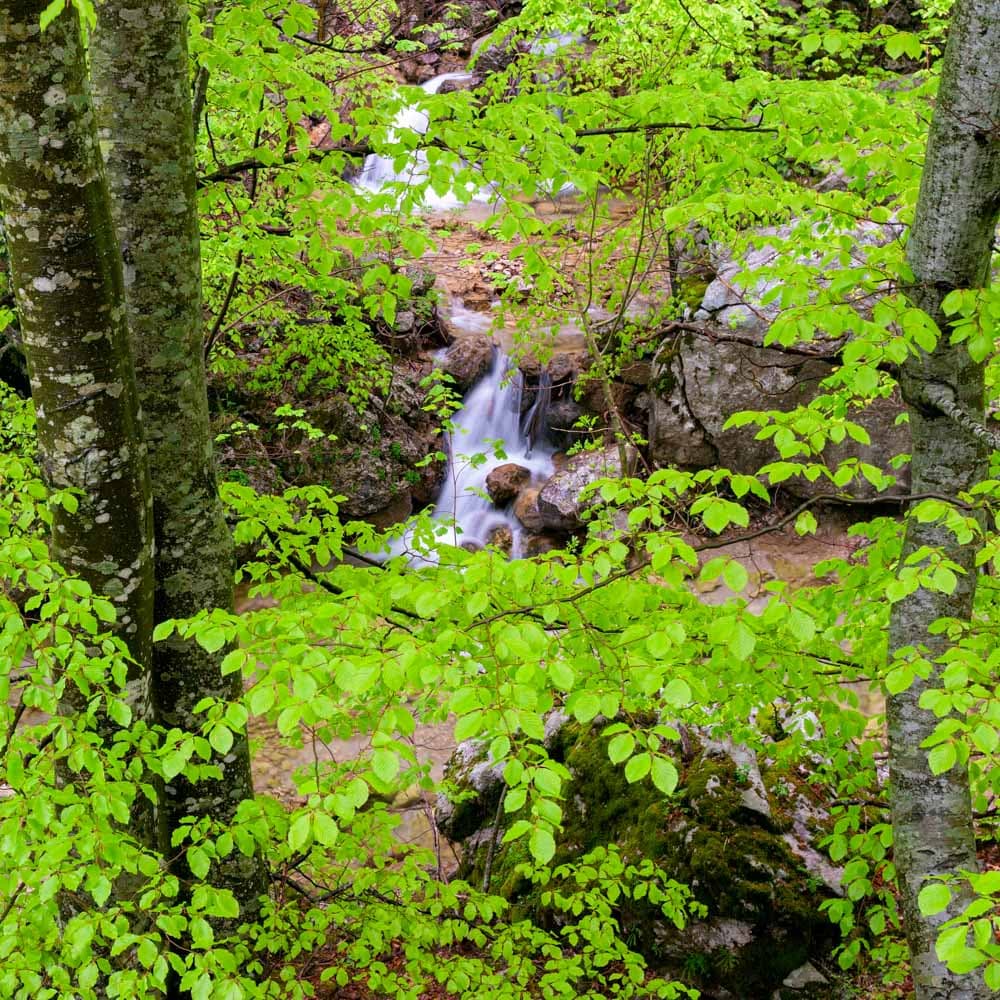 Paklenica National Park — 