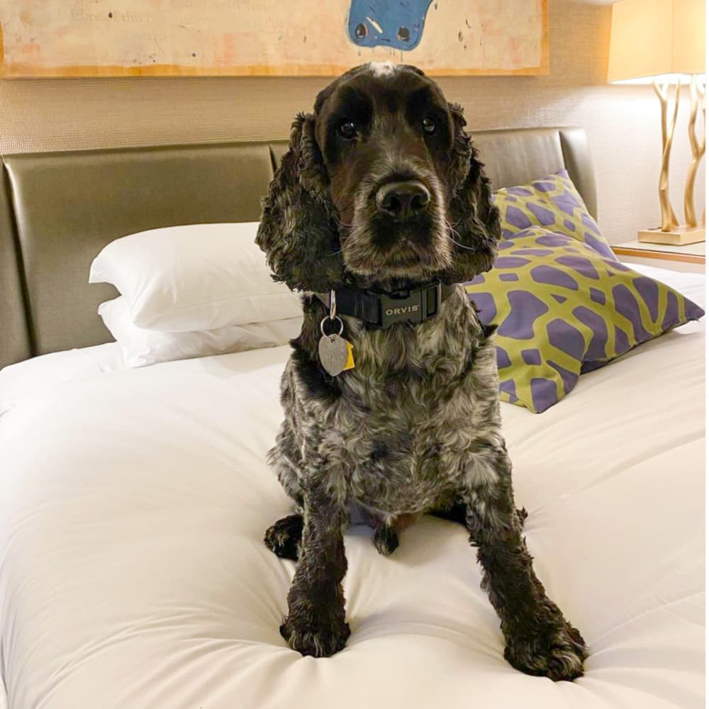 Kimpton Hotel Palomar — 