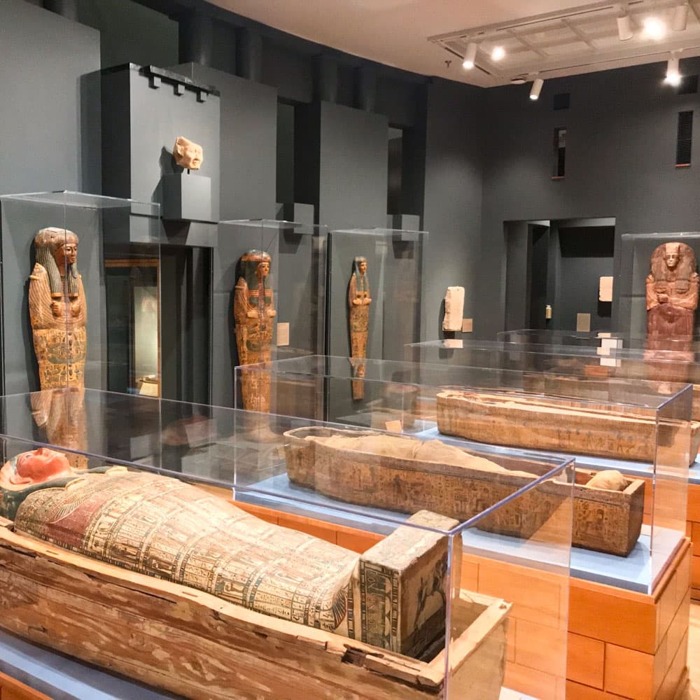 Michael C Carlos Museum — Atlanta, Georgia, United States, North America